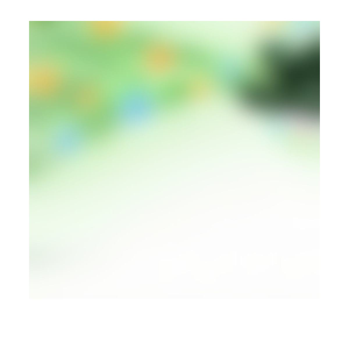 Botanical Nutrient Formula product detail image 6