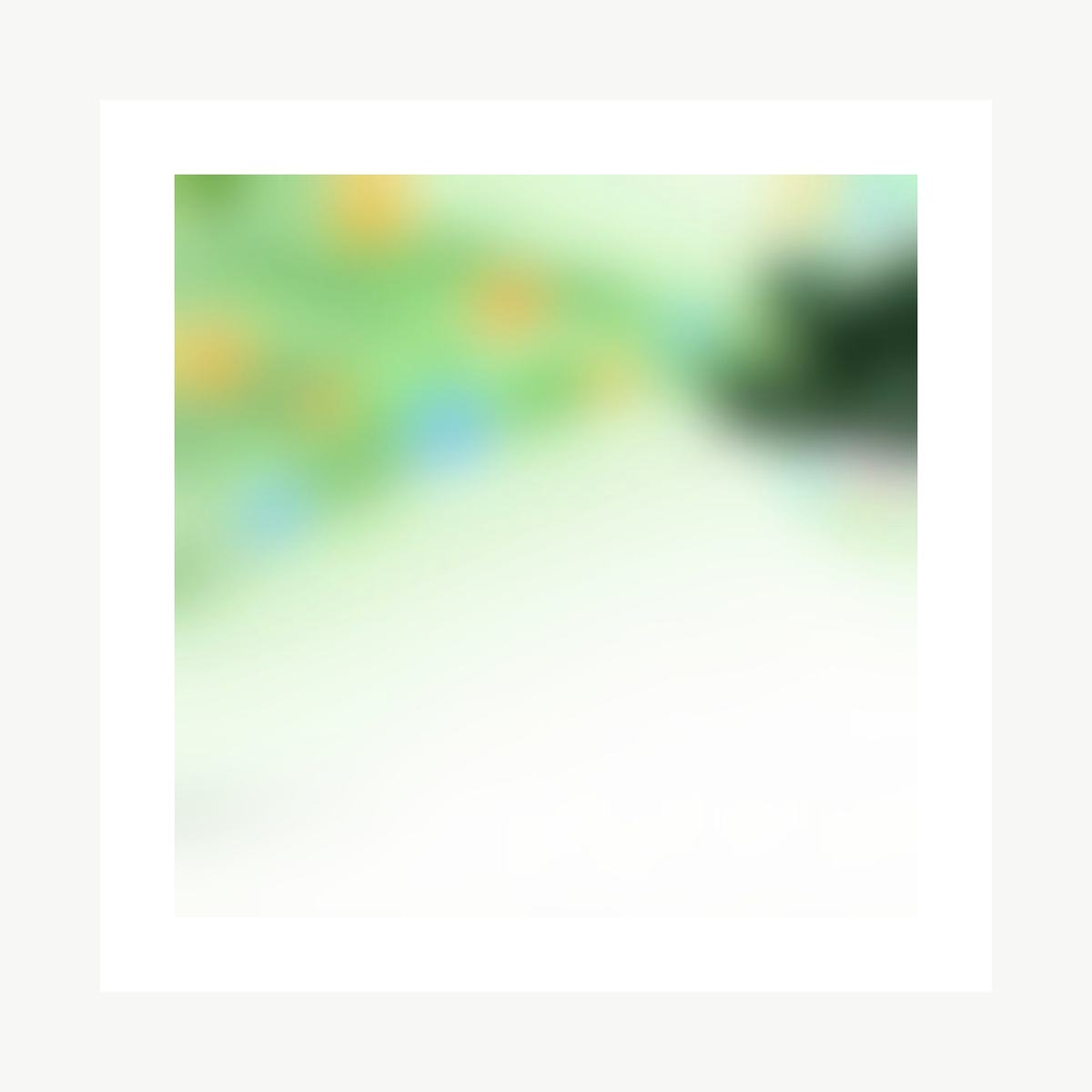 Botanical Nutrient Formula product detail image 7