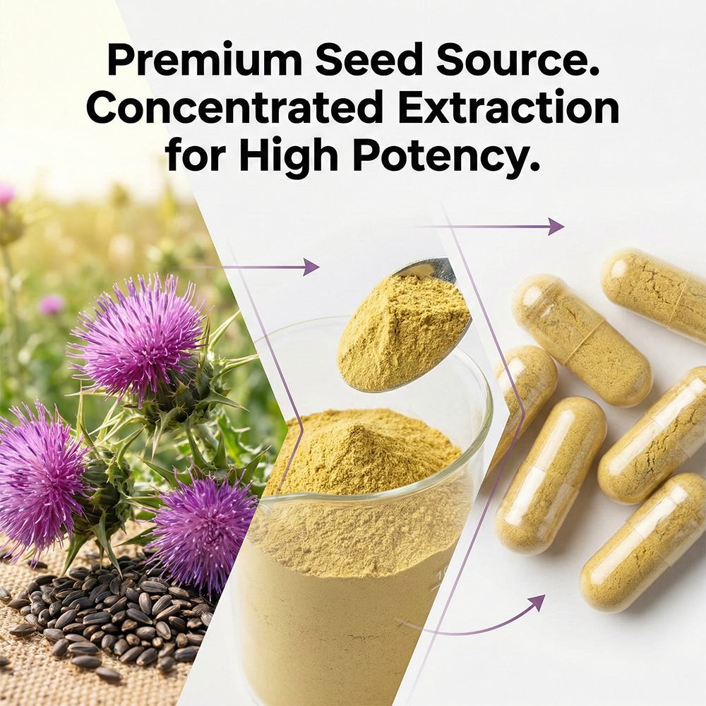 Thistle extract product detail image 2