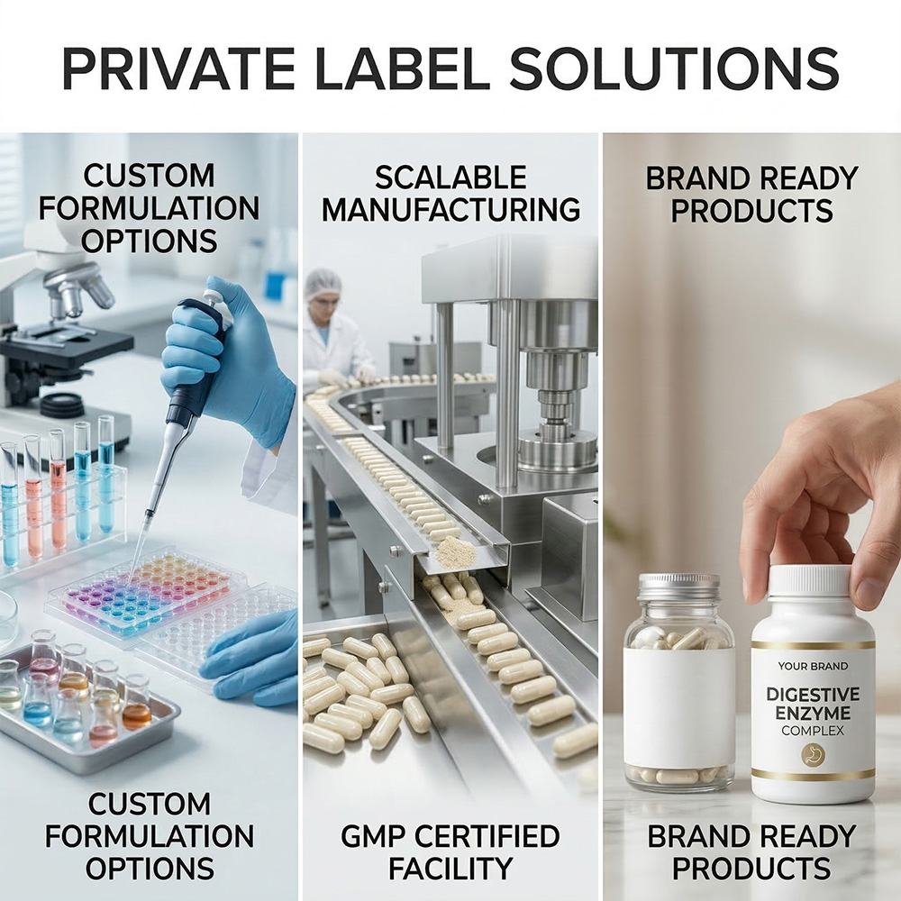 Digestive enzymes product detail image 3
