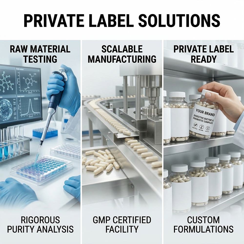 Digestive enzymes and probiotics product detail image 3