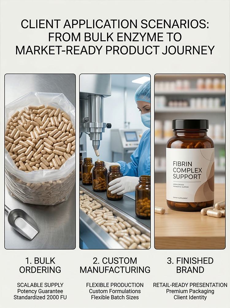 Earthworm fibrinolytic enzyme product detail image 8