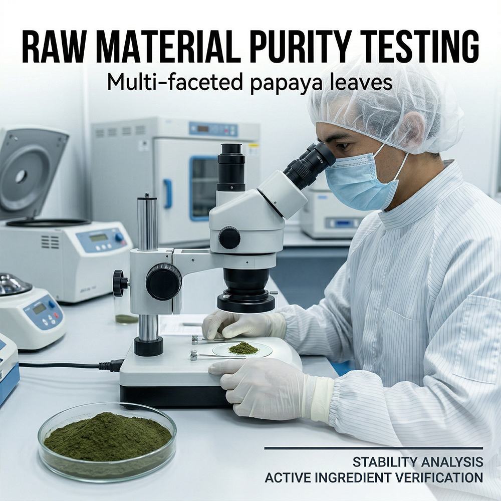 Multi-faceted papaya leaves product detail image 3