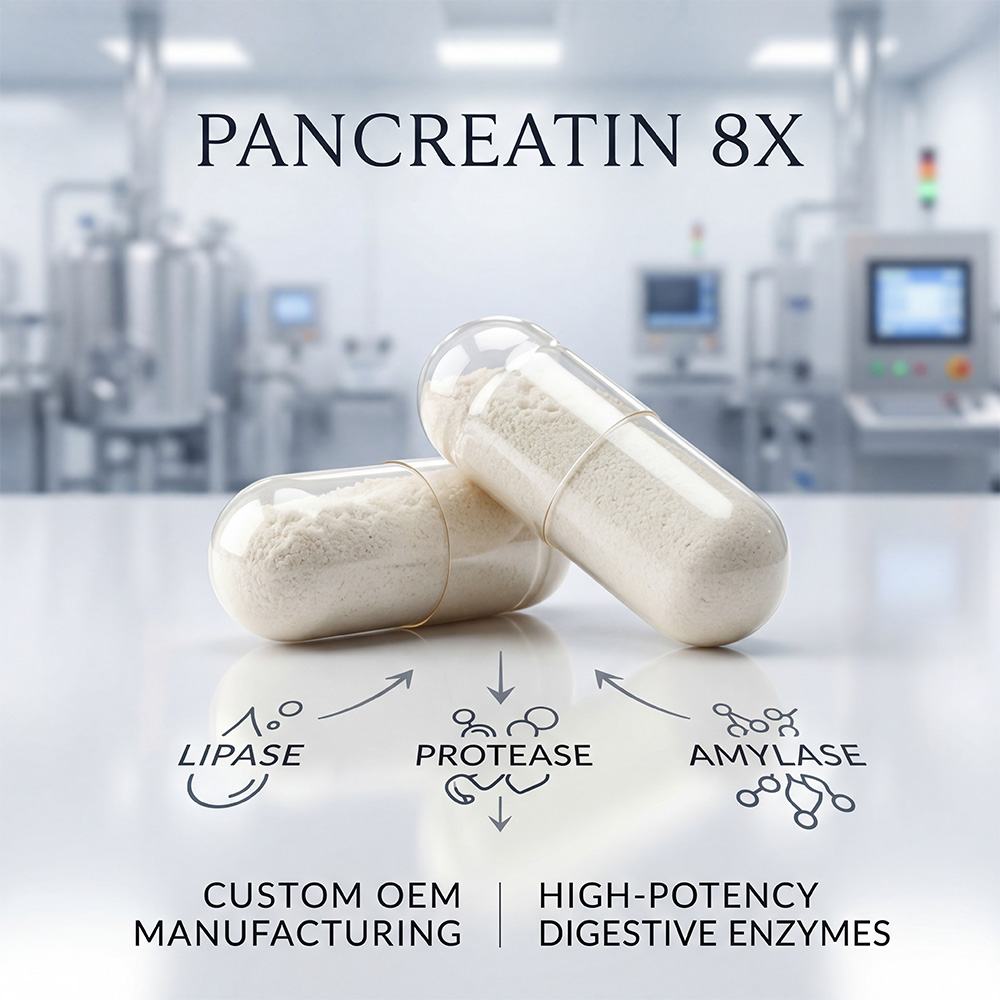 Pancreatin 8X product detail image 2