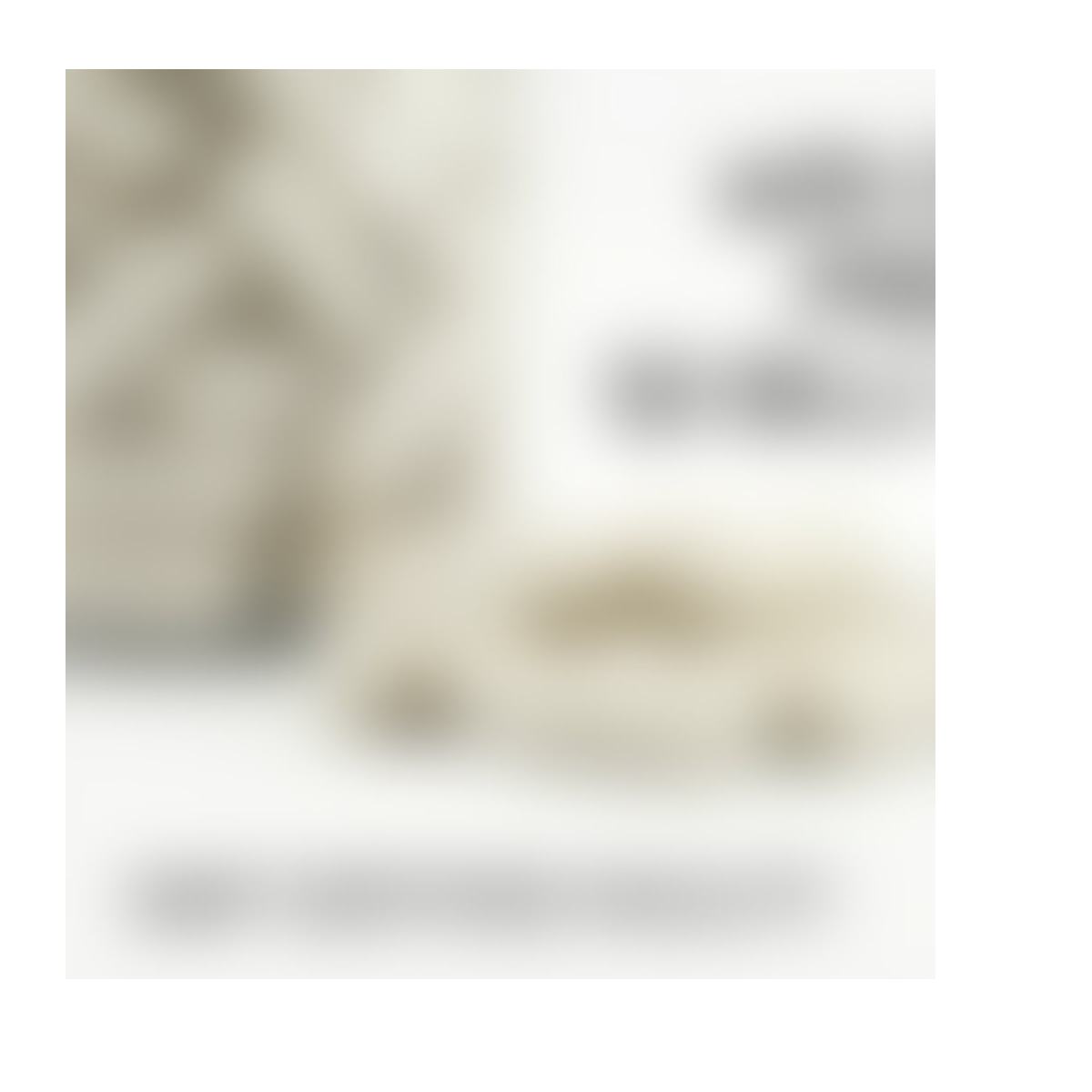 Daily Probiotic Blend product detail image 4