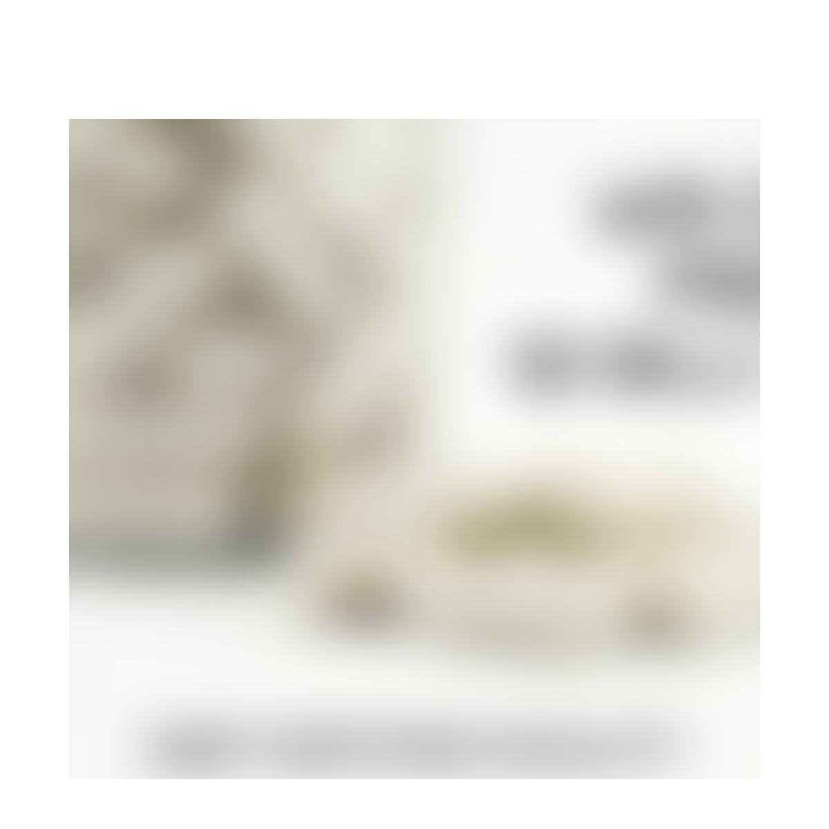 Daily Probiotic Blend product detail image 5