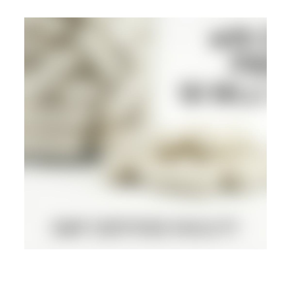 Daily Probiotic Blend product detail image 6