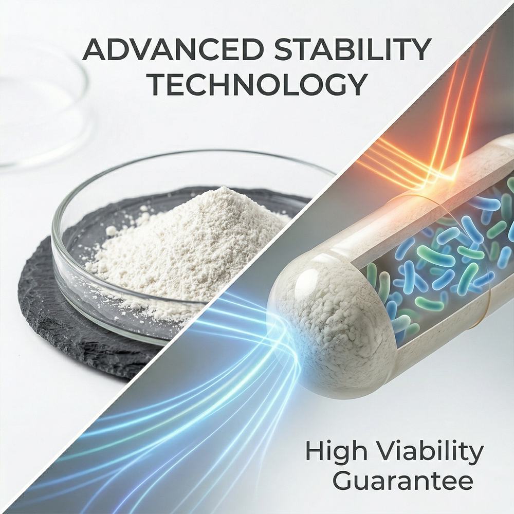 Support of intestinal bacteria product detail image 4