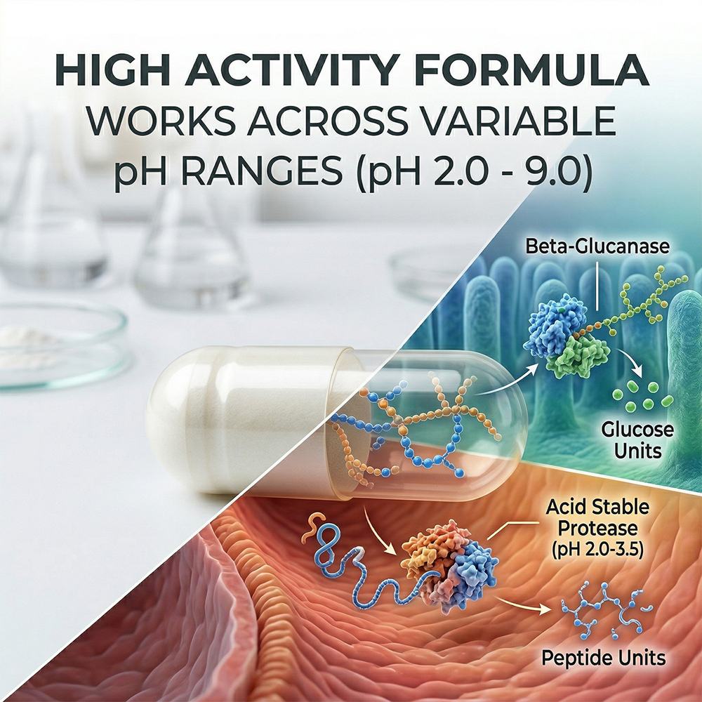 Unisex digestive enzymes product detail image 3