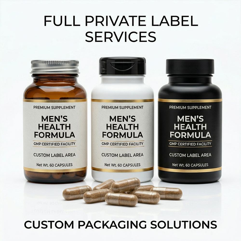 Saw Palmetto product detail image 3