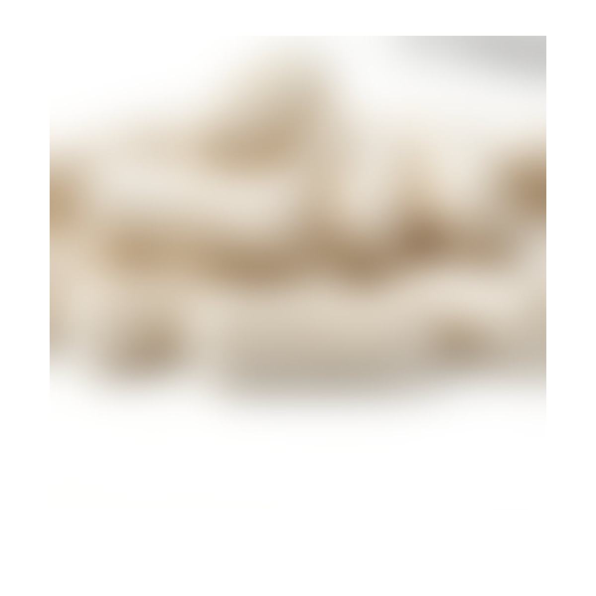 Metabolic Wellness Capsules product detail image 6