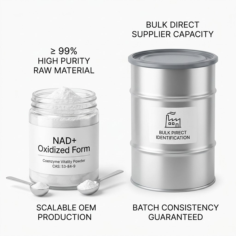 NAD+ Oxidized Form Coenzyme Vitality Powder
