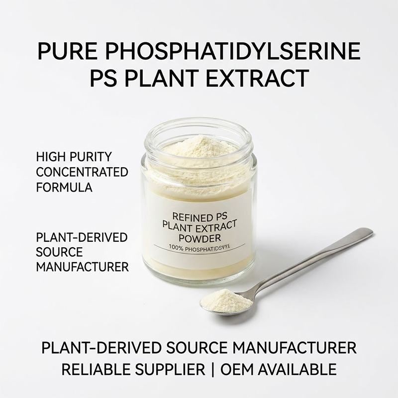 Pure Phosphatidylserine PS Plant Extract Powder