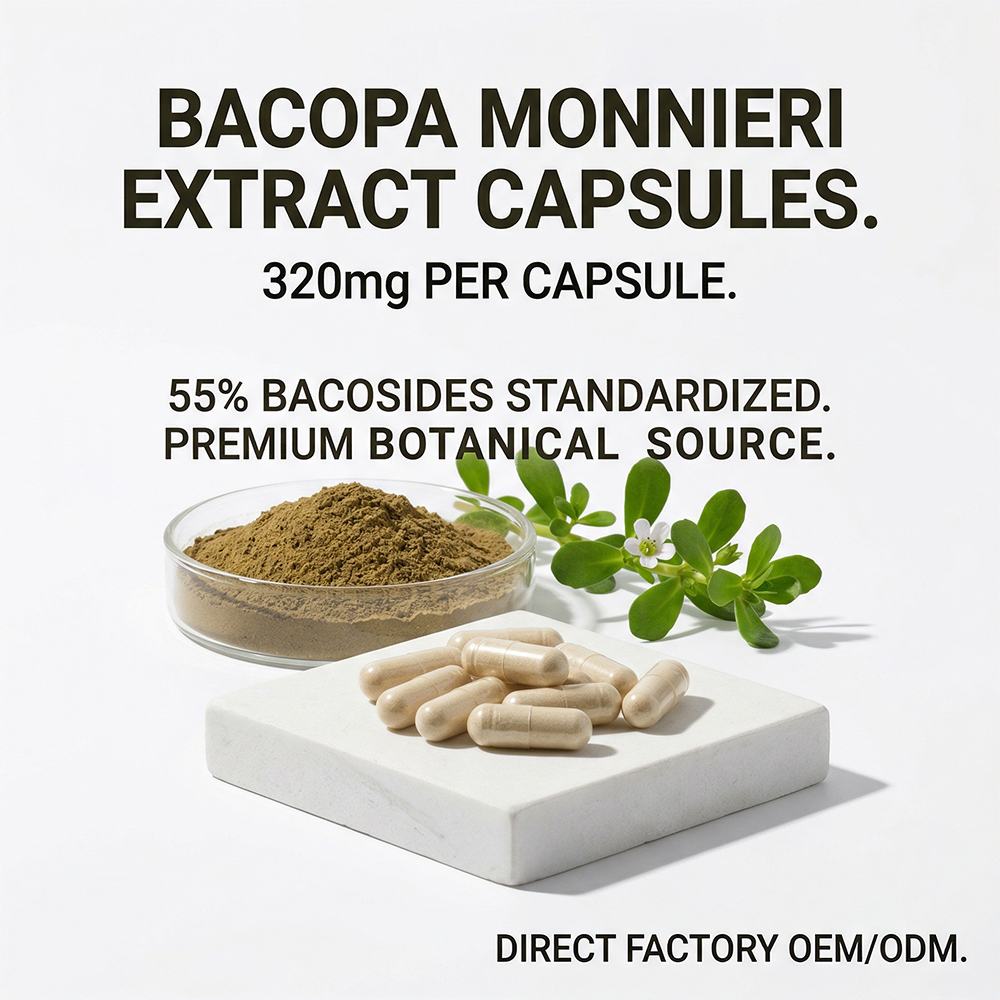 Bacopa Extract