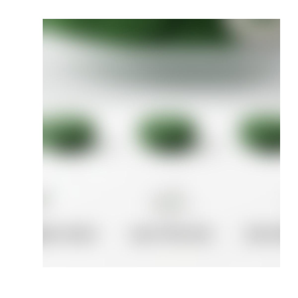 Bulk Spirulina Powder & Tablets product detail image 3