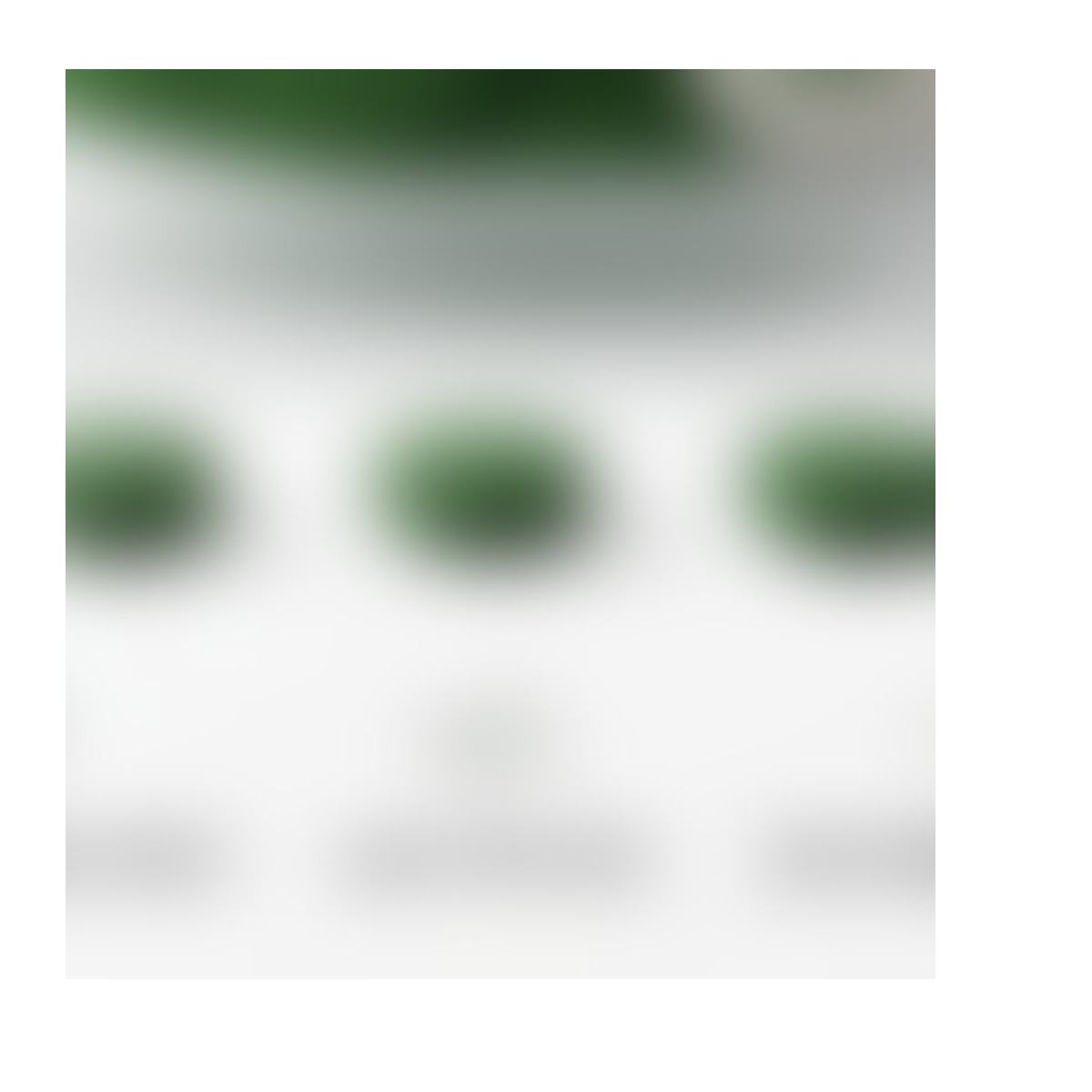 Bulk Spirulina Powder & Tablets product detail image 4