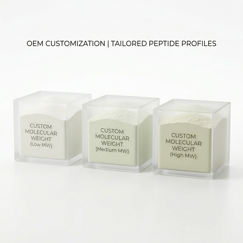 Plant Extract Peptide Blend product detail image 5