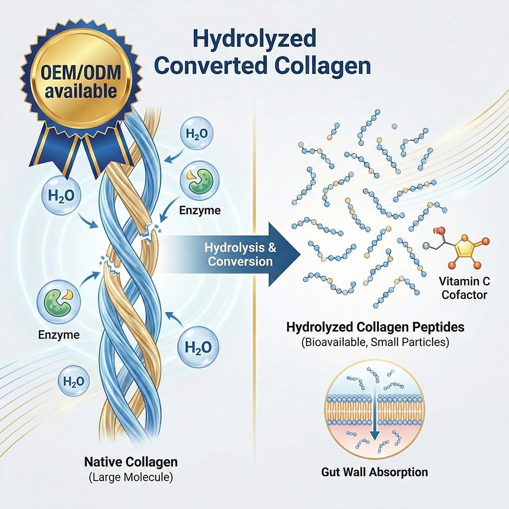 Collagen Peptides product detail image 2
