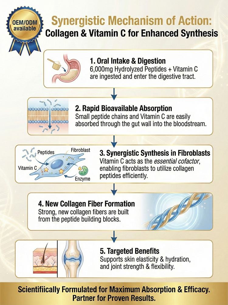 Collagen Peptides product detail image 8